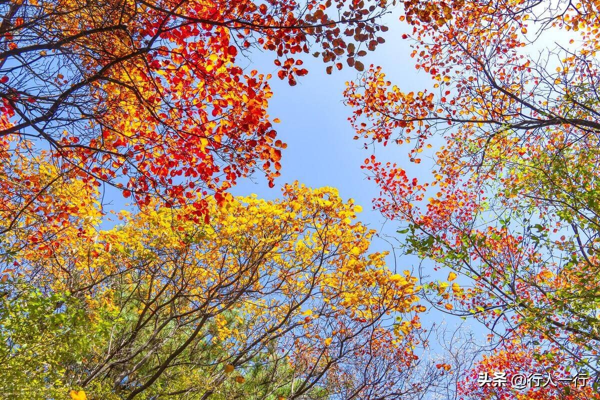 河南风景旅游景点排行前十名（河南风景区排名前十名）