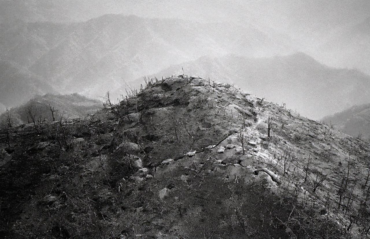 张桃芳 上将（张桃方的故事介绍）