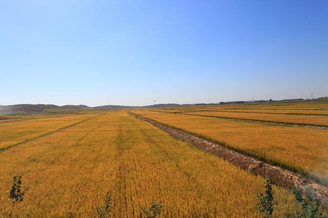 去朝鲜旅游需要什么手续费用多少钱（去朝鲜旅游需要什么手续）