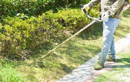 空置房也要交物业费-告诉你为什么!（没有住的房子需要交物业费吗）