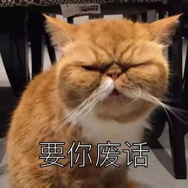 圆周率的前100000位（圆周率有多少位）