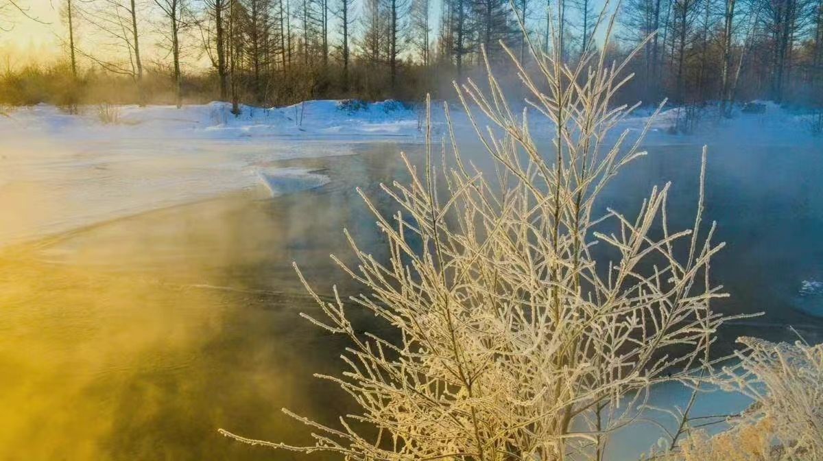 怎么样可以放弃一个自己很爱的人（怎么样才能从心里放下一个人）