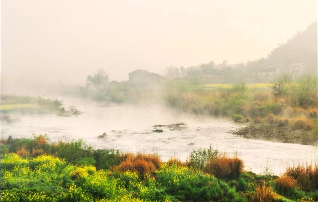 怎么样可以放弃一个自己很爱的人（怎么样才能从心里放下一个人）