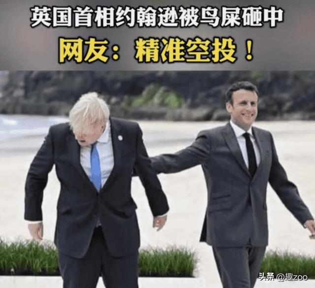 鸟撞窗户什么意思(鸟撞窗户的民间说法是什么)