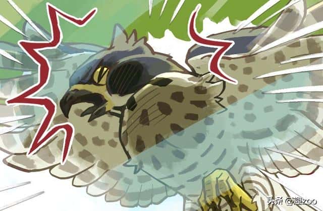 鸟撞窗户什么意思(鸟撞窗户的民间说法是什么)