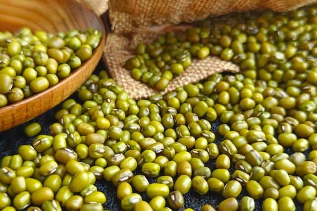 从哪天开始是三伏天(三伏天是几月份到几月份)