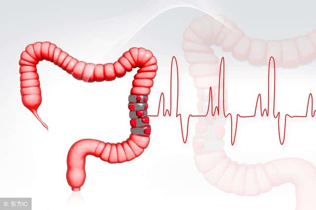 牛油果哪个季节成熟（牛油果什么季节成熟）