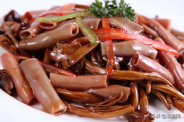 沙虫跟海肠的区别(海肠是什么动物)