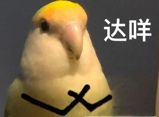 达咩是什么意思（网络语达咩是什么梗）(1)_