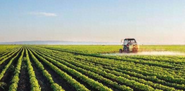 美国农业特点(美国农业三化是哪三化)