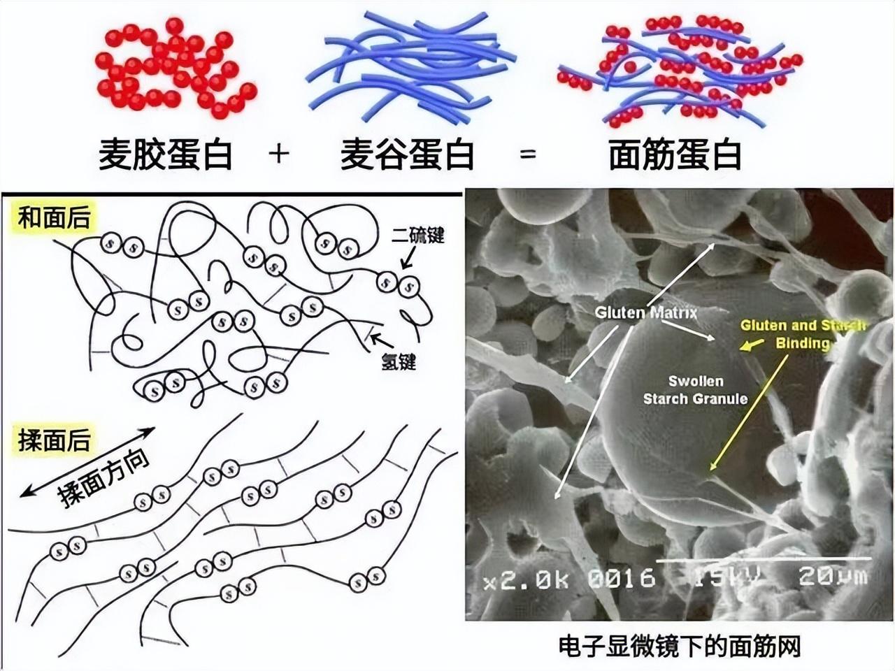 蓬灰水是什么做的(蓬灰水对身体有害吗)