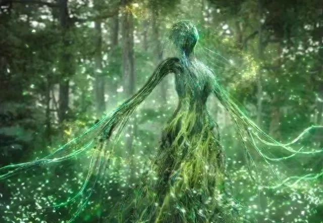 赤伞千年修为怎么打不过司藤(司藤吸收了赤伞的力量吗)