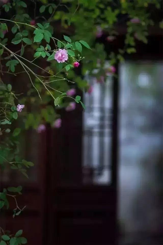 长期在家放佛歌好不好(听佛歌有什么好处)