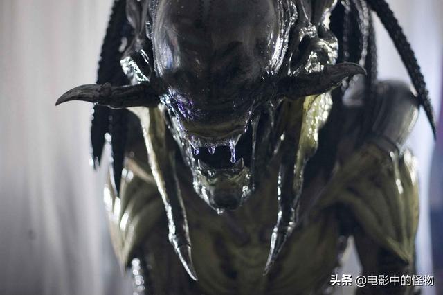 铁血异形大战异形3（异形大战铁血战士3原将出现）(4)