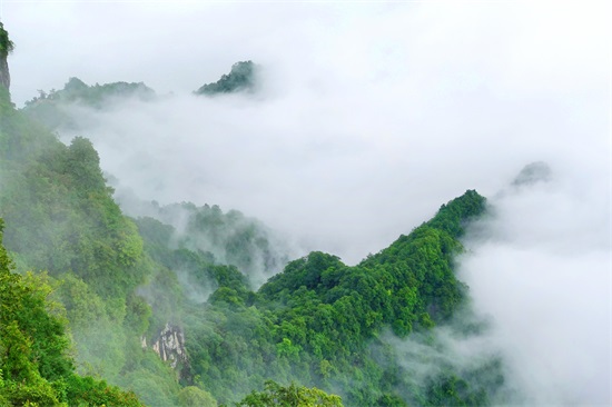 龙头山在汉中的哪个县（龙头山景区在什么地方）