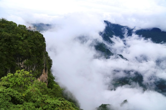 龙头山在汉中的哪个县（龙头山景区在什么地方）