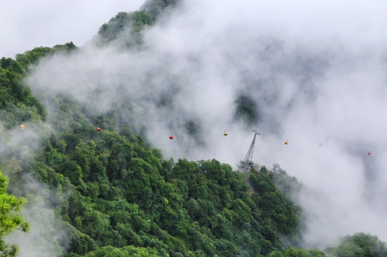 龙头山在汉中的哪个县（龙头山景区在什么地方）