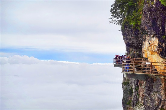 龙头山在汉中的哪个县（龙头山景区在什么地方）