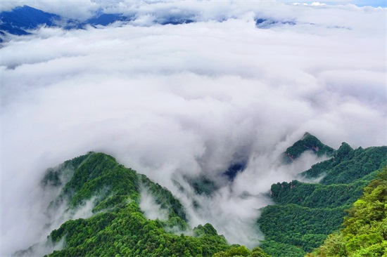 龙头山在汉中的哪个县（龙头山景区在什么地方）