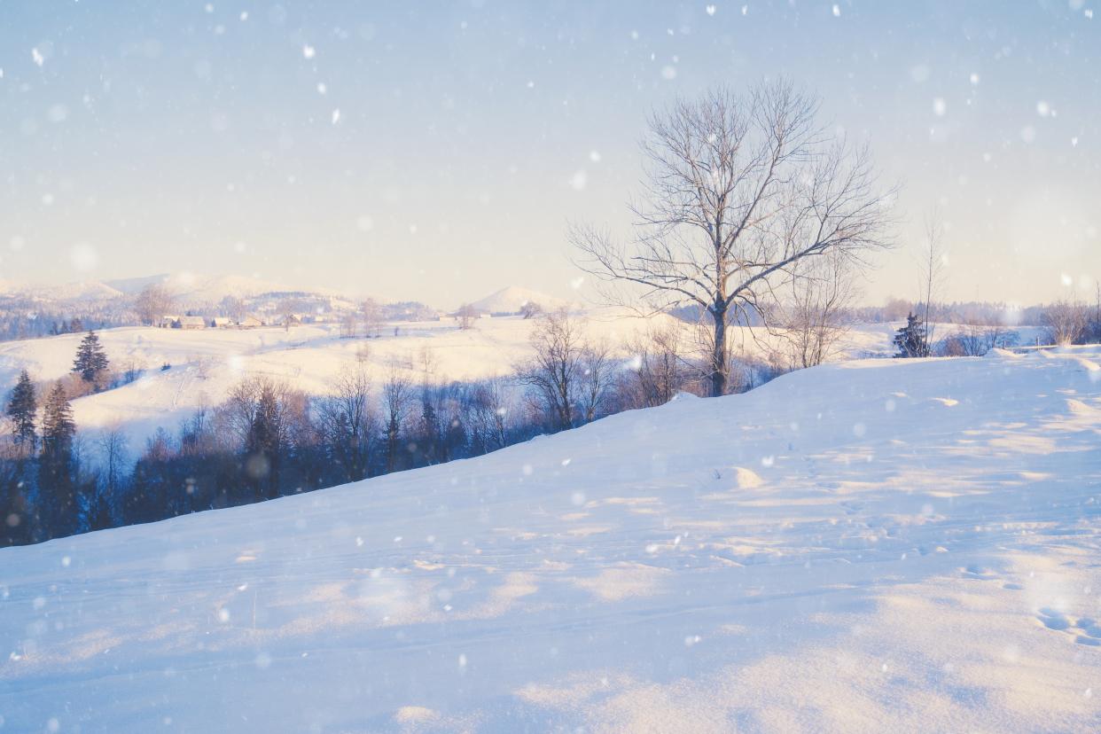 摩羯被哪个星座克制(被摩羯座吃定的5大星座)