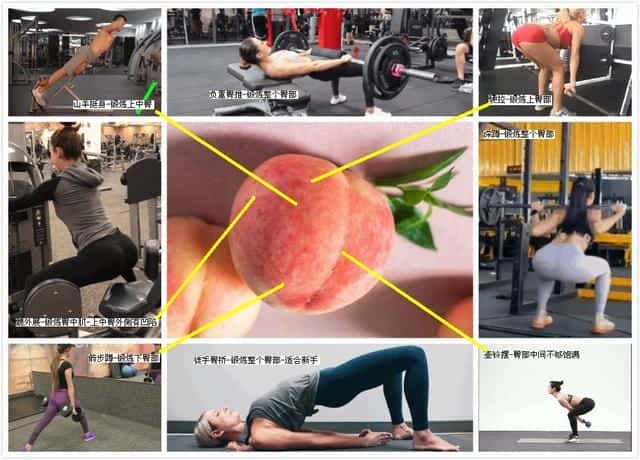 臀桥能每天做吗（臀桥每天做几个有效果）