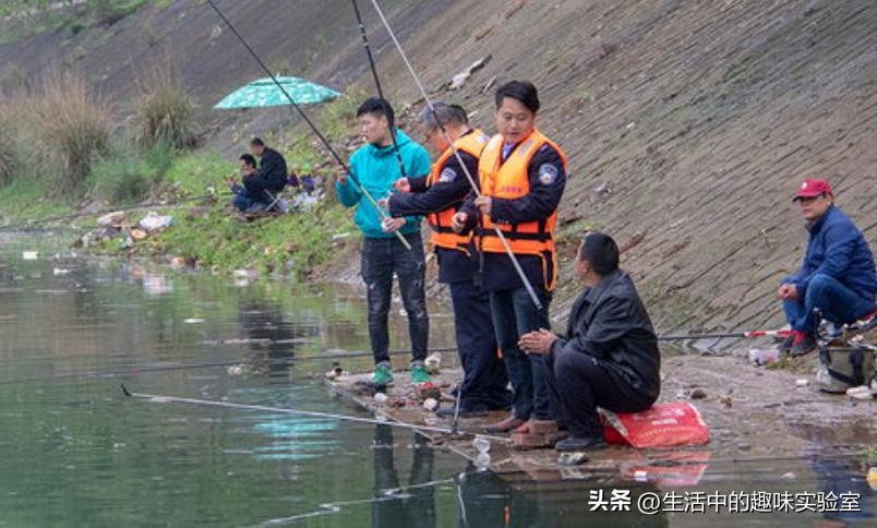 用泥鳅钓鱼的危害（泥鳅钓鱼为什么被禁止）