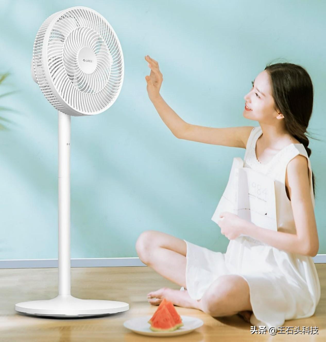 百元风扇哪个好(电扇什么品牌好一点)