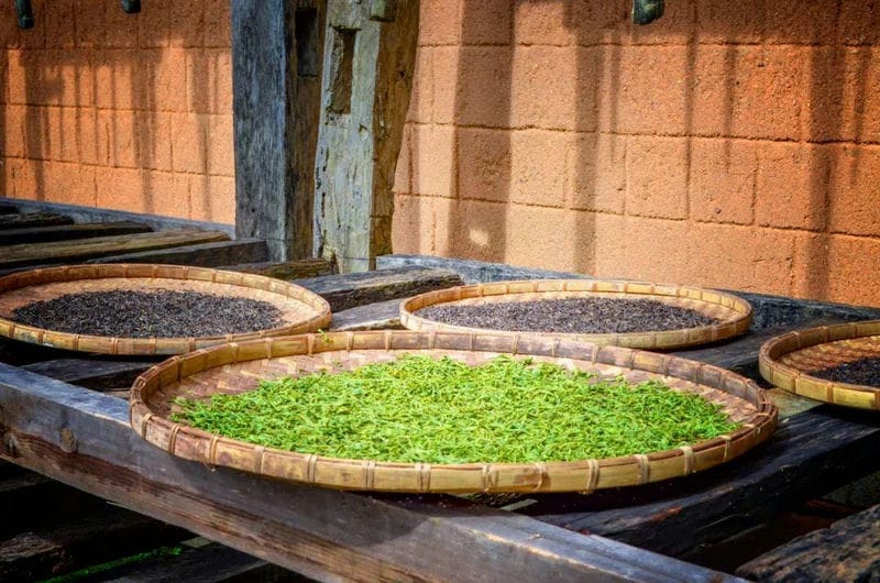 普洱茶是年限越长越好吗(普洱茶时间越长越好吗)