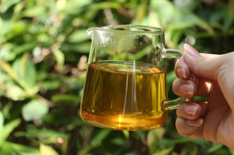 普洱茶是年限越长越好吗(普洱茶时间越长越好吗)