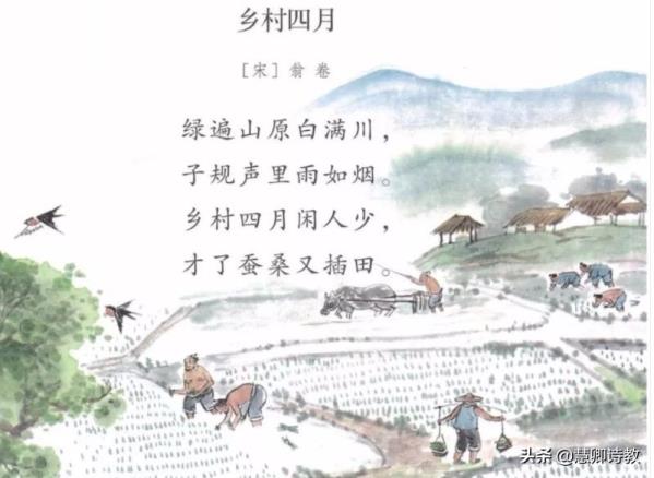 梢棒的拼音怎么写的拼(梢棒的拼音)