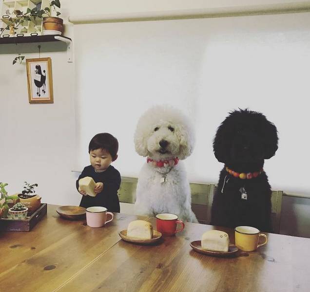 世界上最萌的人是谁_最萌宝宝盘点