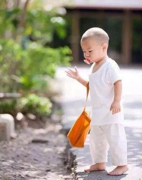 世界上最萌的人是谁_最萌宝宝盘点