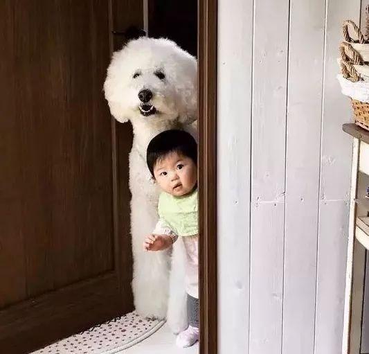 世界上最萌的人是谁_最萌宝宝盘点