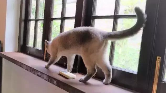 十大必去的咖啡馆（从网红店到个人私藏）(26)