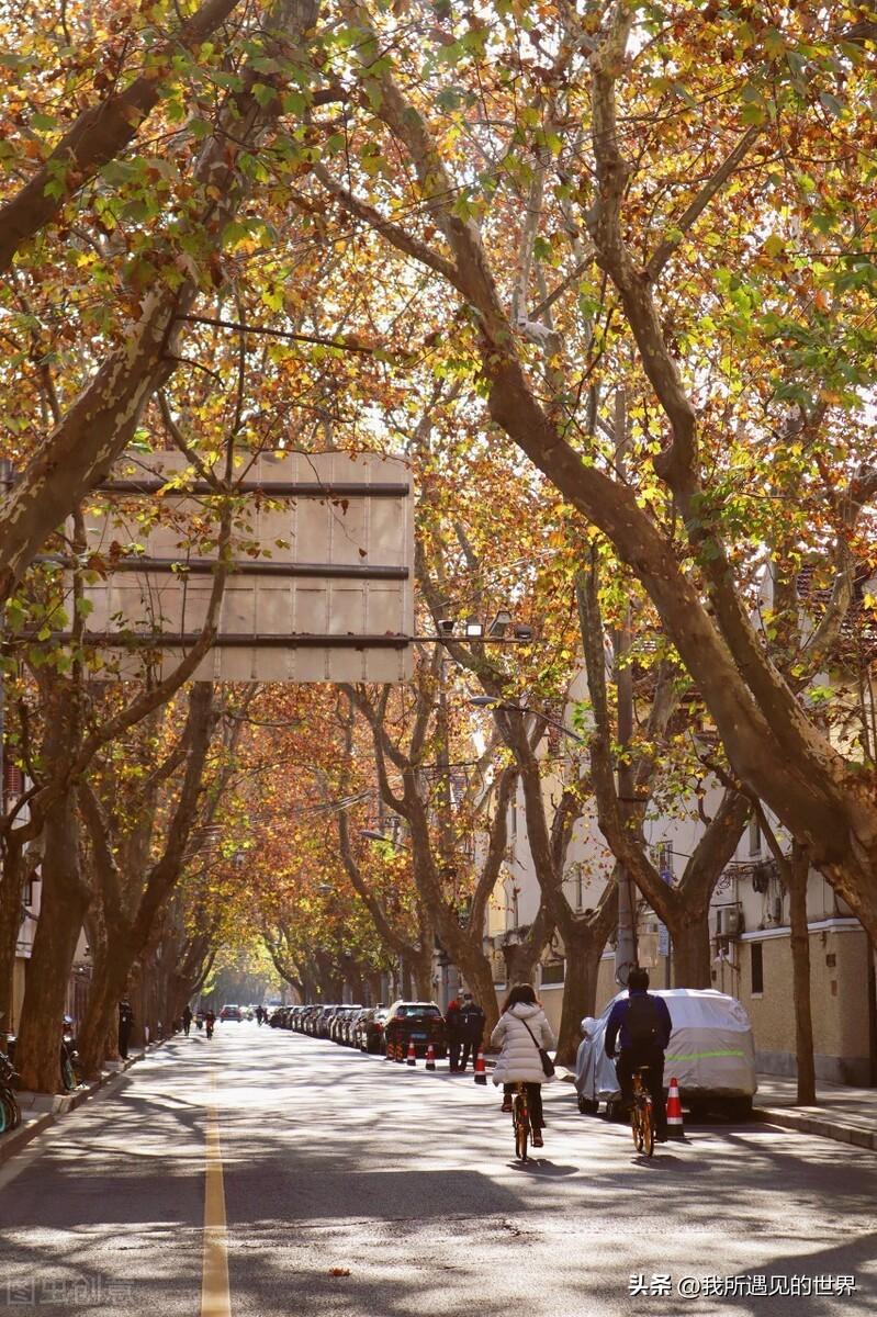 上海好玩的地方推荐（最有特色10个旅游必打卡景点）