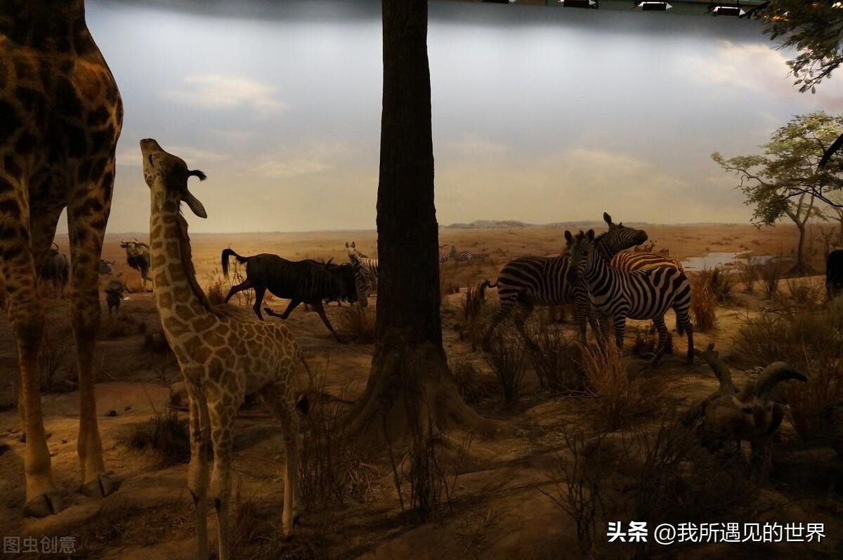 上海好玩的地方推荐（最有特色10个旅游必打卡景点）