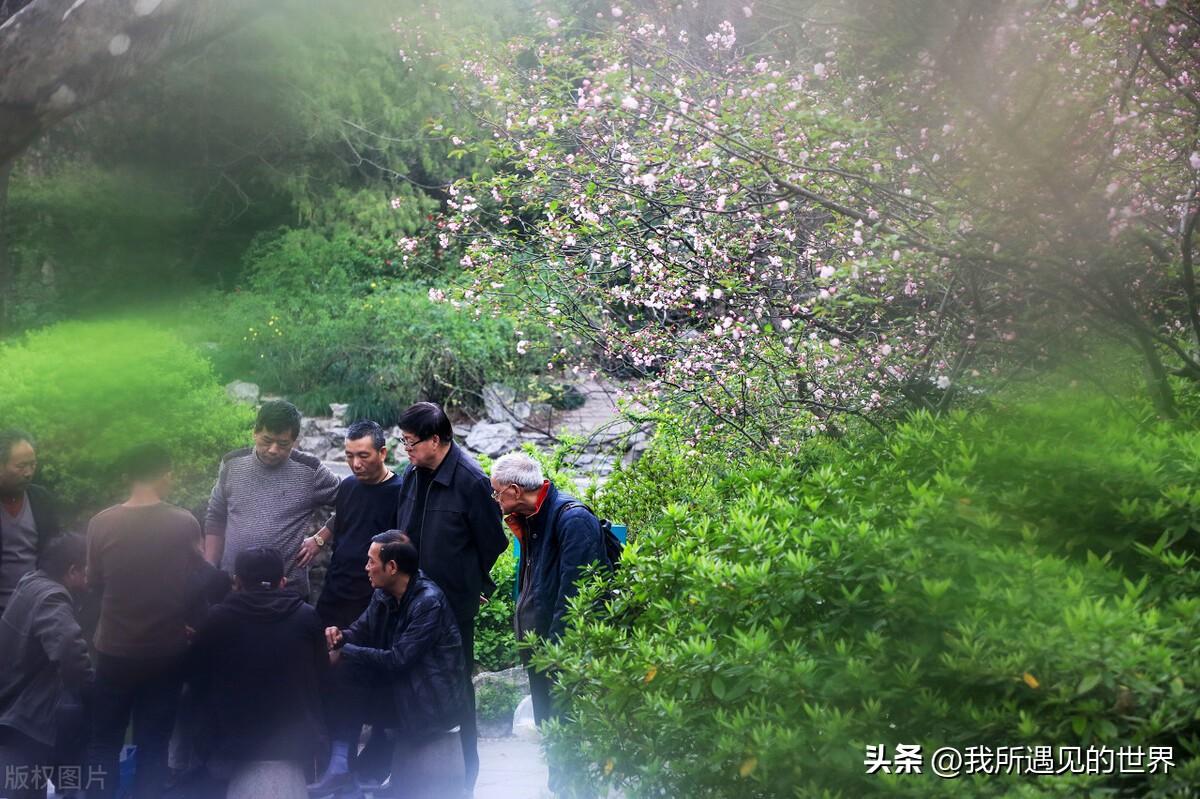 上海好玩的地方推荐（最有特色10个旅游必打卡景点）