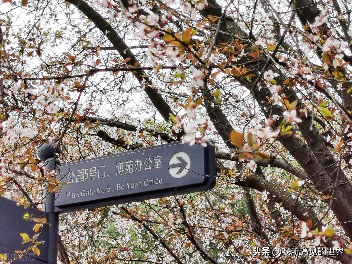 上海好玩的地方推荐（最有特色10个旅游必打卡景点）