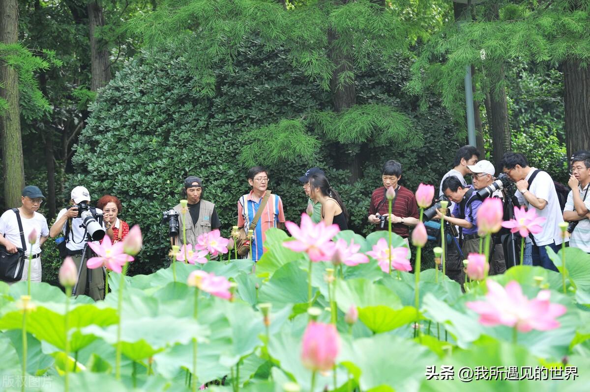 上海好玩的地方推荐（最有特色10个旅游必打卡景点）