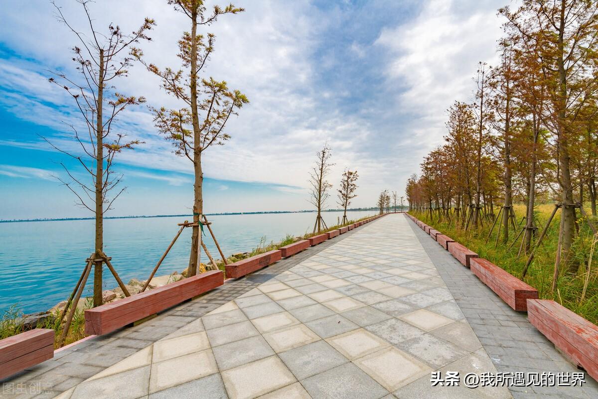 上海好玩的地方推荐（最有特色10个旅游必打卡景点）