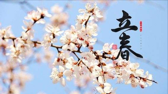 立春咬春吃什么蔬菜_吃春菜的习俗