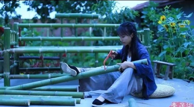 网红李子柒为什么停更呢，李子柒事件是怎么回事