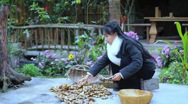 网红李子柒为什么停更呢，李子柒事件是怎么回事