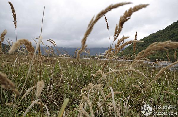 宾得k50小技巧（Pentax宾得K-50新手使用报告）(17)