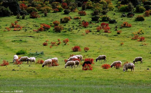 云南省十大魔鬼公路（这条终点在云南的214国道）(21)