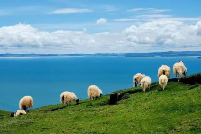 云南省十大魔鬼公路（这条终点在云南的214国道）(11)