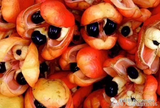 12种好吃的水果（这些水果真的有见过）(17)