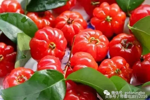 12种好吃的水果（这些水果真的有见过）(6)