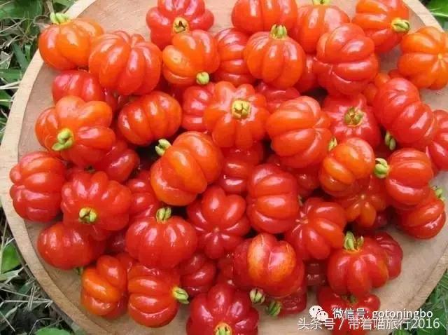 12种好吃的水果（这些水果真的有见过）(7)