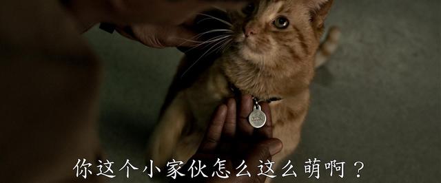 漫威惊奇队长到底有多强(漫威全村人的希望)(26)